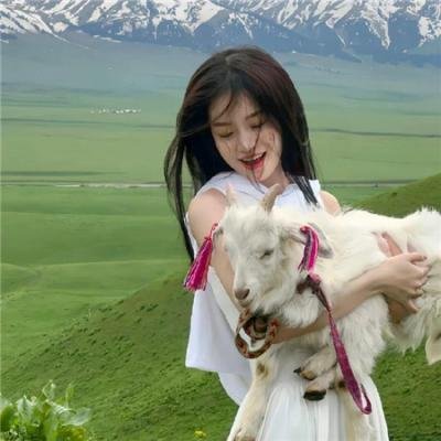 骑士德鲁比 海报